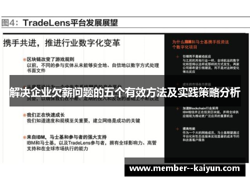 解决企业欠薪问题的五个有效方法及实践策略分析